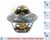 FAE 5204888 Thermostat, coolant